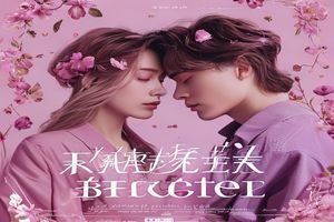 探花小说第五名《甜宠日记·我的霸总男友》封面，粉紫色调，两人相依，甜宠爱情氛围满满